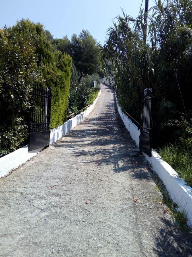 Villa Xanthippi Agia Paraskevi  Exterior foto