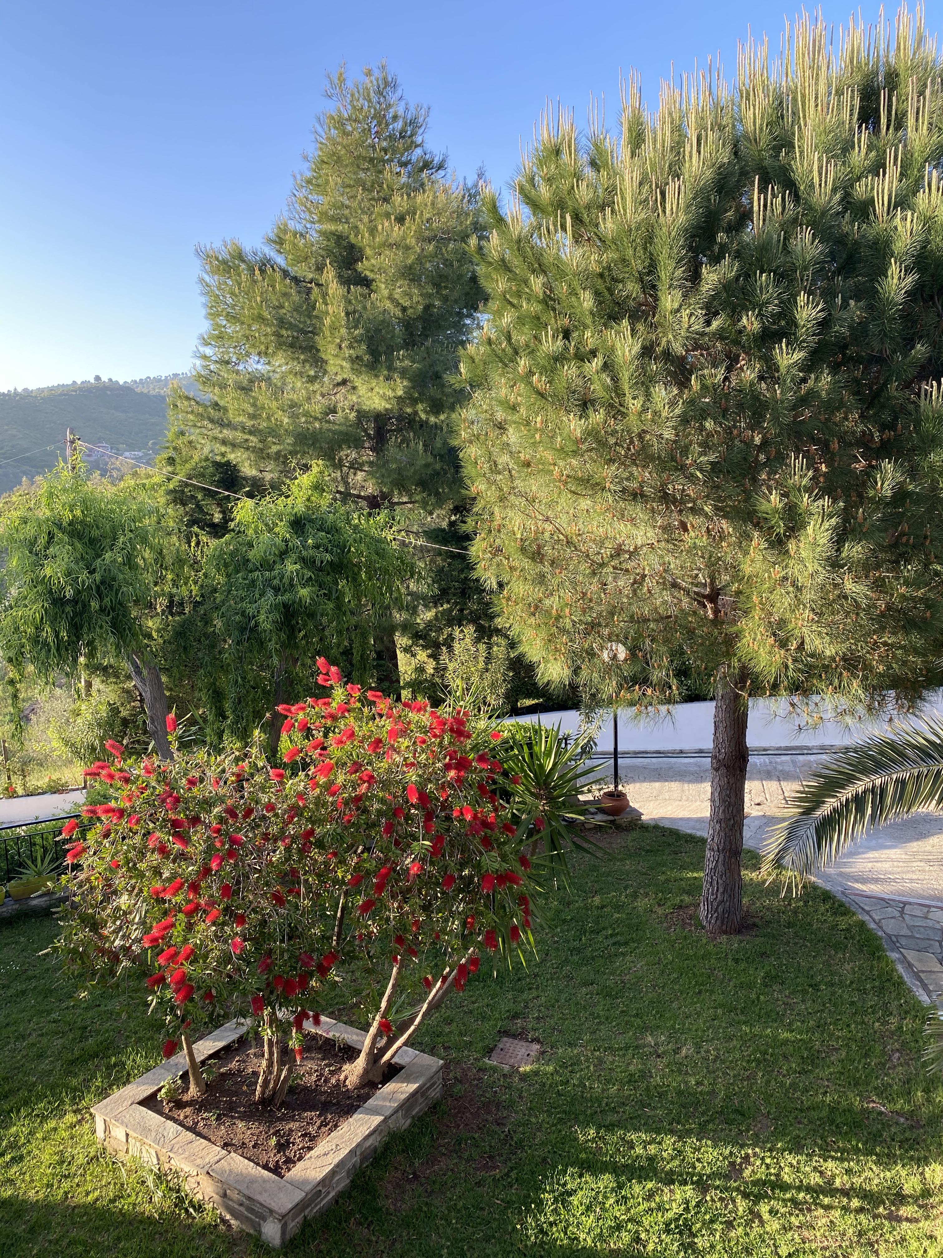 Villa Xanthippi Agia Paraskevi  Exterior foto